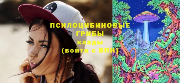 а пвп мука Абаза