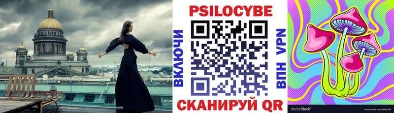 Галлюциногенные грибы Psilocybine cubensis  кракен ссылки  Тавда 