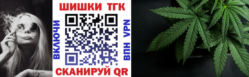Бошки Шишки ГИДРОПОН Тавда